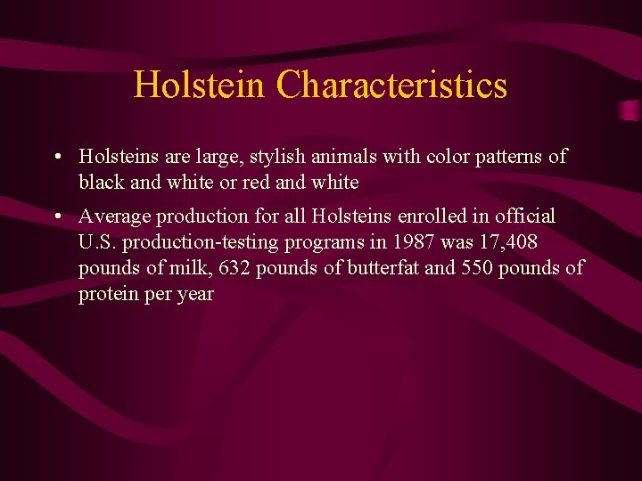 Holstein Characteristics • Holsteins are large, stylish animals with color patterns of black and