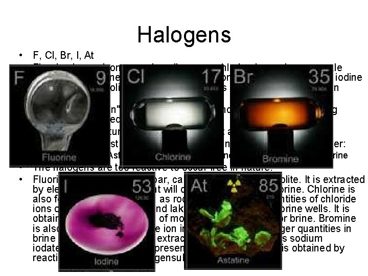 Halogens • F, Cl, Br, I, At • Fluorine is a poisonous pale yellow