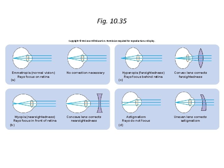 Fig. 10. 35 Copyright © Mc. Graw-Hill Education. Permission required for reproduction or display.