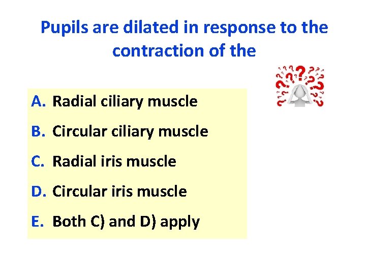 Pupils are dilated in response to the contraction of the A. Radial ciliary muscle