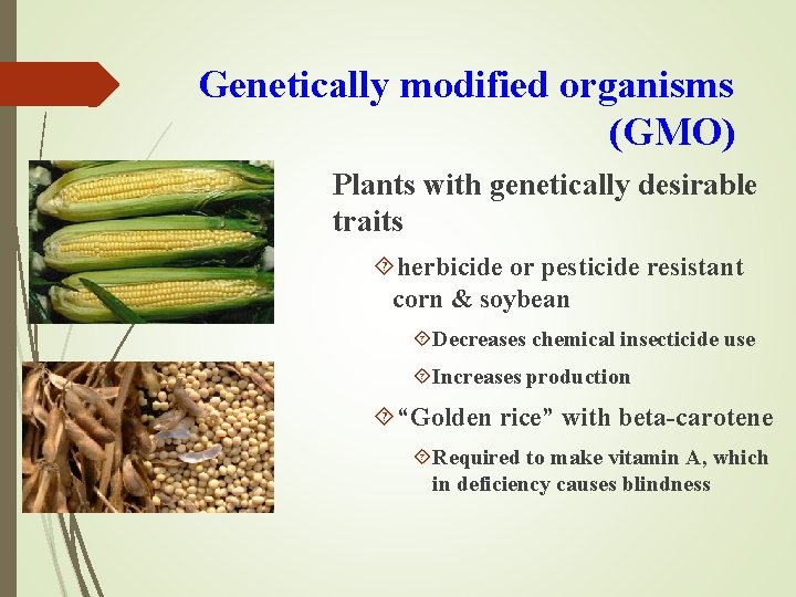 Genetically modified organisms (GMO) Plants with genetically desirable traits herbicide or pesticide resistant corn