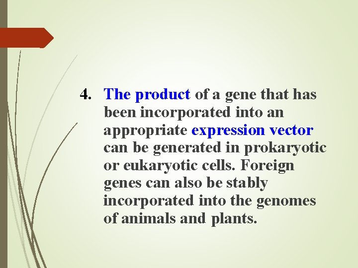 4. The product of a gene that has been incorporated into an appropriate expression