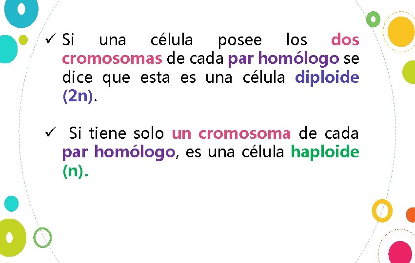 ü Si una célula posee los dos cromosomas de cada par homólogo se dice