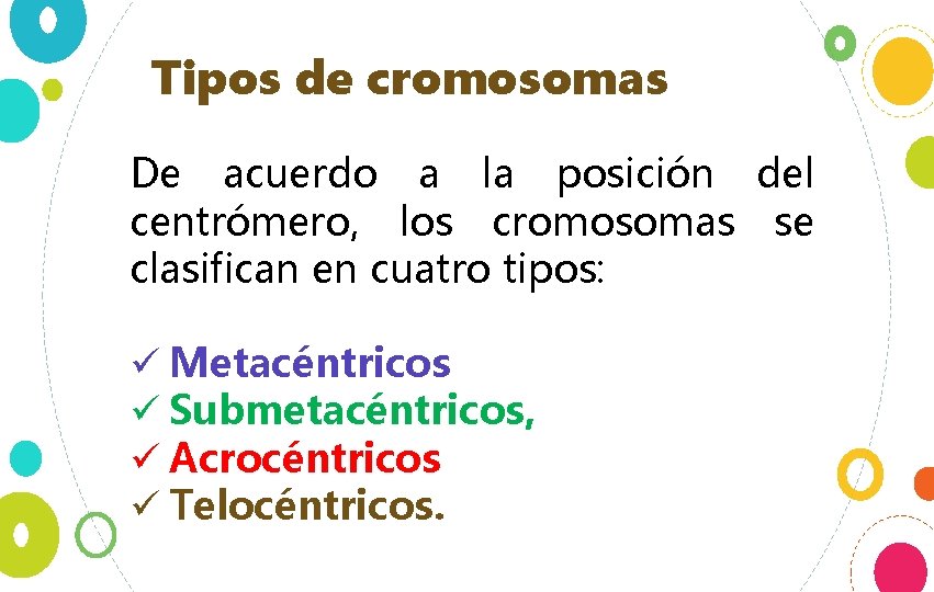 Tipos de cromosomas De acuerdo a la posición del centrómero, los cromosomas se clasifican