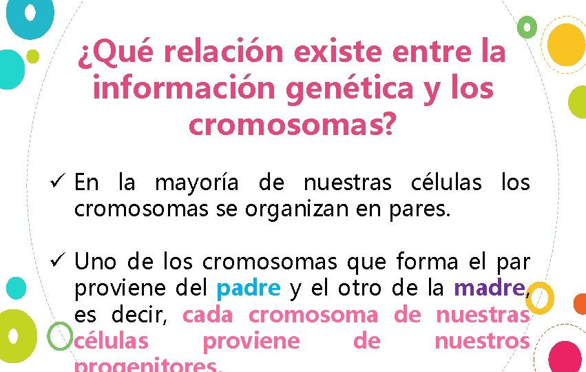 ¿Qué relación existe entre la información genética y los cromosomas? ü En la mayoría