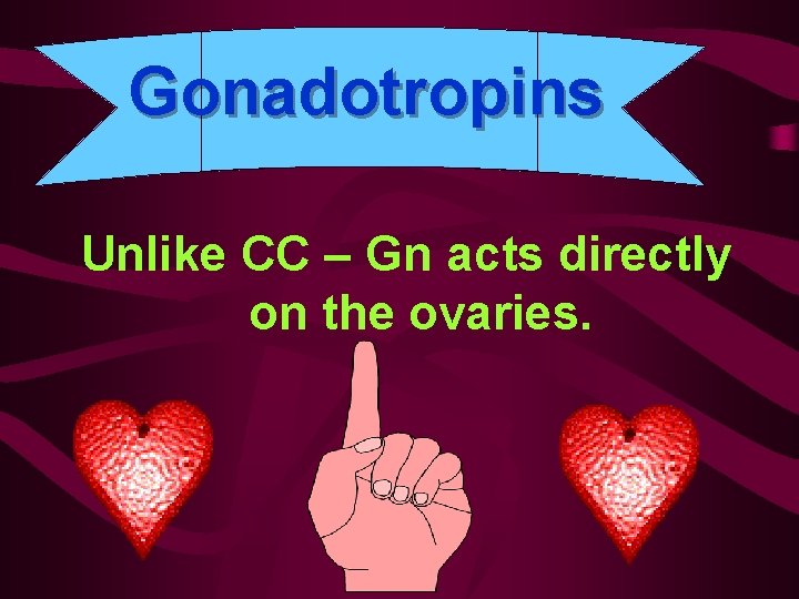 Gonadotropins Unlike CC – Gn acts directly on the ovaries. 