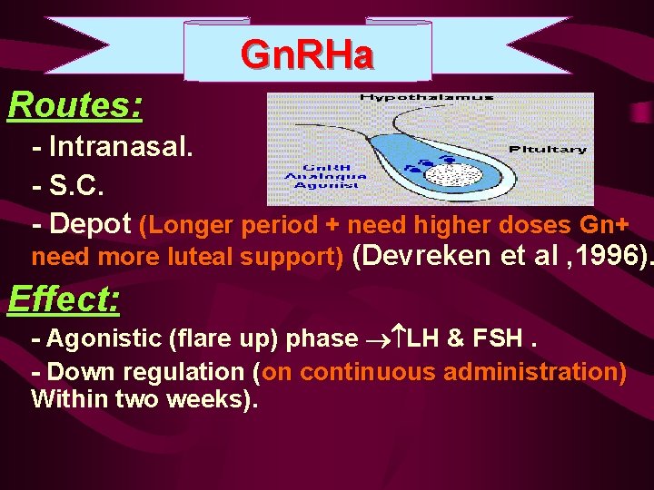 Gn. RHa Routes: - Intranasal. - S. C. - Depot (Longer period + need