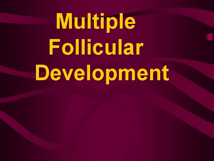 Multiple Follicular Development 