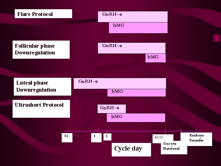 Flare Protocol Gn. RH-a h. MG Follicular phase Downregulation Gn. RH-a h. MG Gn.