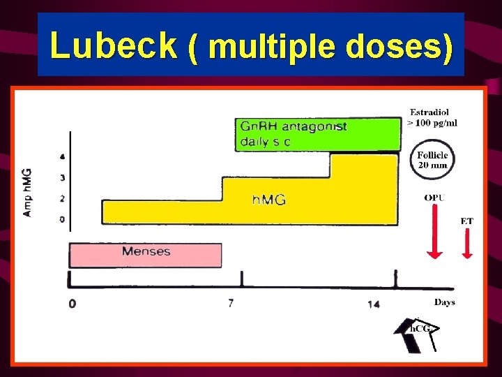 Lubeck ( multiple doses) 