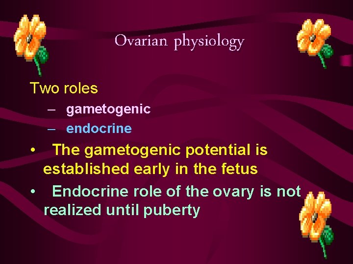 Ovarian physiology Two roles – gametogenic – endocrine • The gametogenic potential is established
