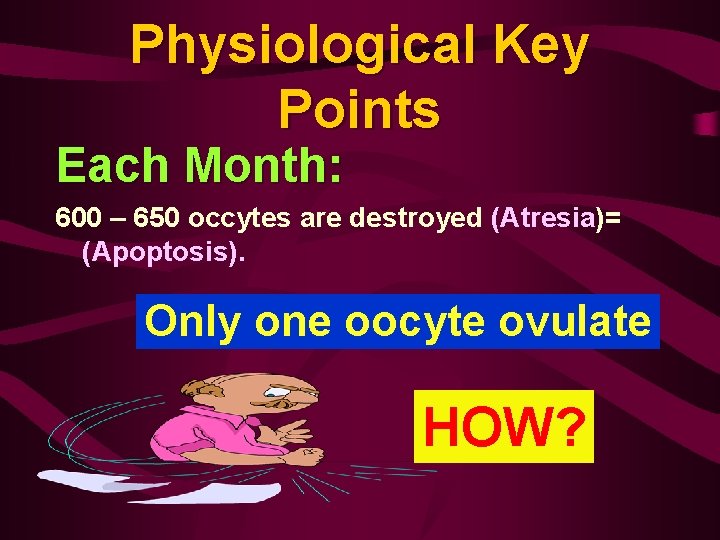 Physiological Key Points Each Month: 600 – 650 occytes are destroyed (Atresia)= (Apoptosis). Only