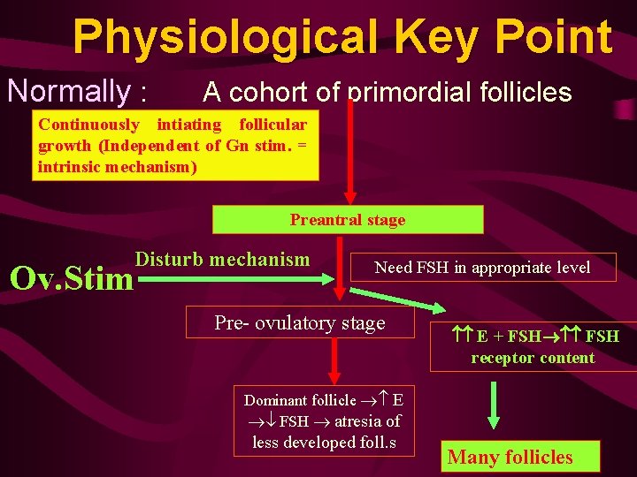 Physiological Key Point Normally : A cohort of primordial follicles Continuously intiating follicular growth