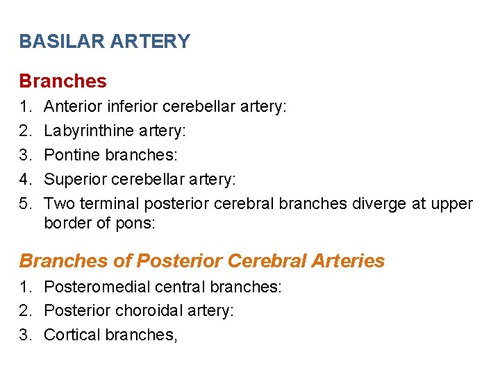 BASILAR ARTERY Branches 1. 2. 3. 4. 5. Anterior inferior cerebellar artery: Labyrinthine artery: