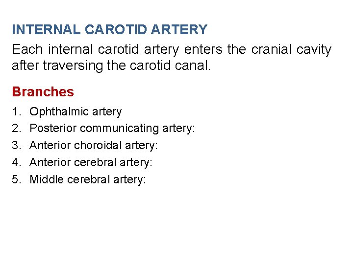 INTERNAL CAROTID ARTERY Each internal carotid artery enters the cranial cavity after traversing the