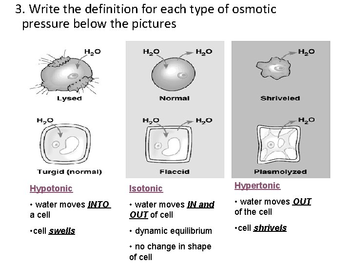 3. Write the definition for each type of osmotic pressure below the pictures Hypotonic