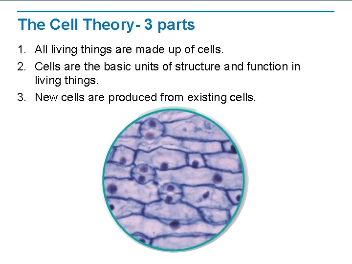 The Cell Theory- 3 parts 1. All living things are made up of cells.