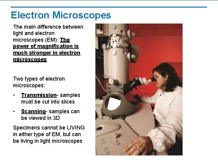 Electron Microscopes The main difference between light and electron microscopes (EM): The power of