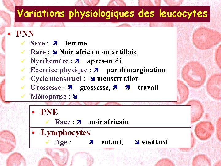 Variations physiologiques des leucocytes § PNN ü ü ü ü Sexe : femme Race