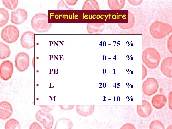 Formule leucocytaire § PNN 40 - 75 % § PNE 0 -4 % §
