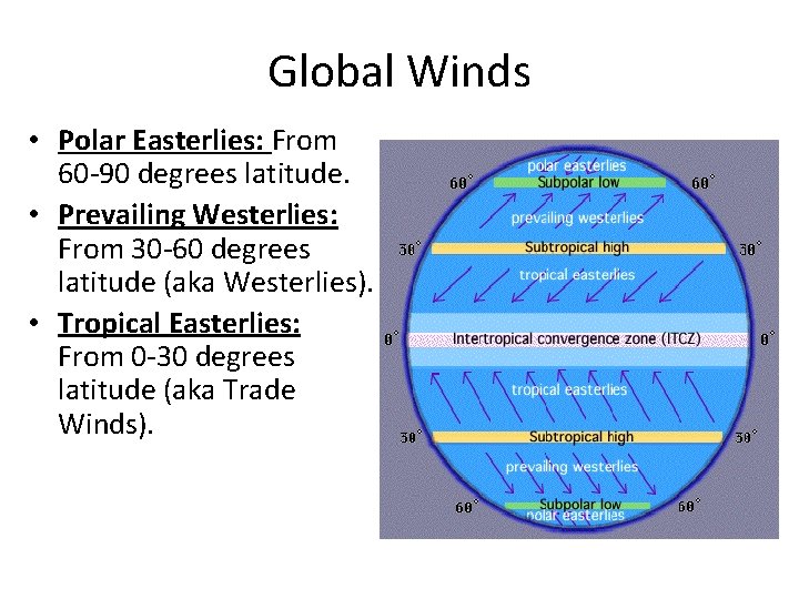 Global Winds • Polar Easterlies: From 60 -90 degrees latitude. • Prevailing Westerlies: From