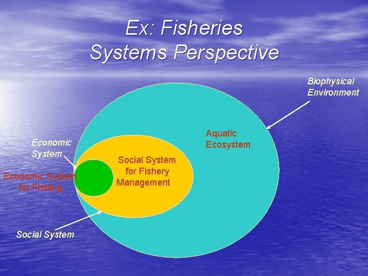 Ex: Fisheries Systems Perspective Biophysical Environment Economic System for Fishing Social System Aquatic Ecosystem