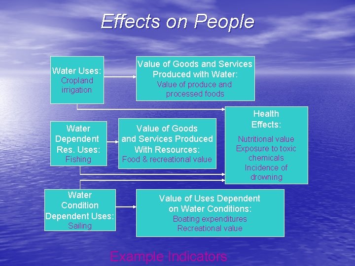 Effects on People Value of Goods and Services Produced with Water: Water Uses: Cropland