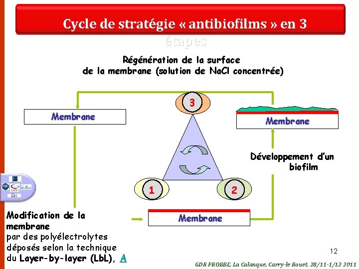 Cycle de stratégie « antibiofilms » en 3 étapes Régénération de la surface de