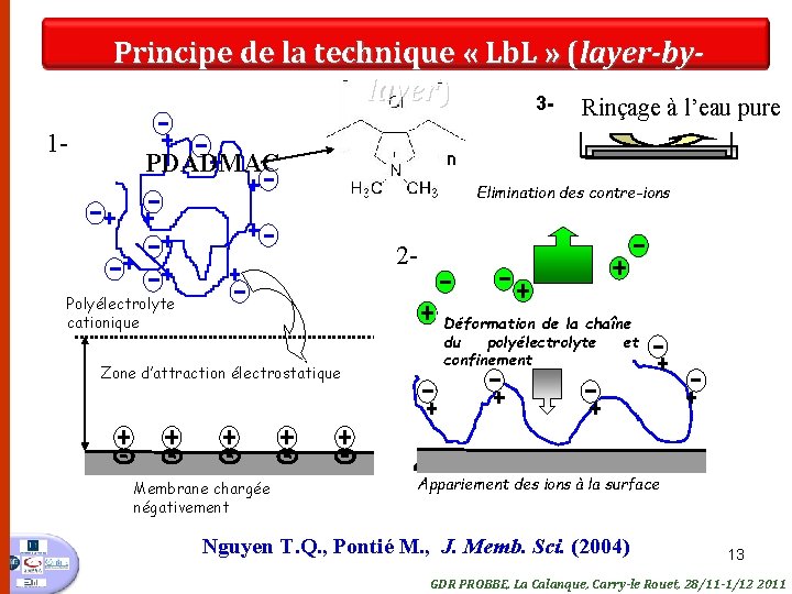 Principe de la technique « Lb. L » (layer-bylayer) 3 - Rinçage à l’eau