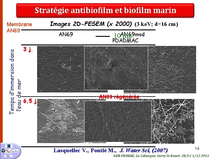 Stratégie antibiofilm et biofilm marin Temps d’immersion dans l’eau de mer Membrane AN 69