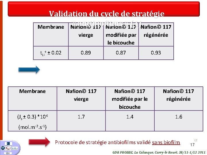 Validation du cycle de stratégie « antibiofilms (1)Nafion© 117 Membrane Nafion© 117 Nafion©» 117