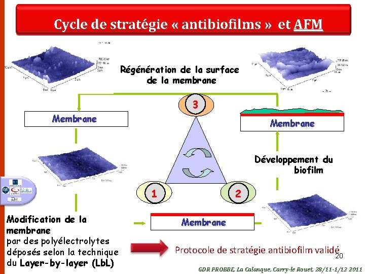 Cycle de stratégie « antibiofilms » et AFM Régénération de la surface de la