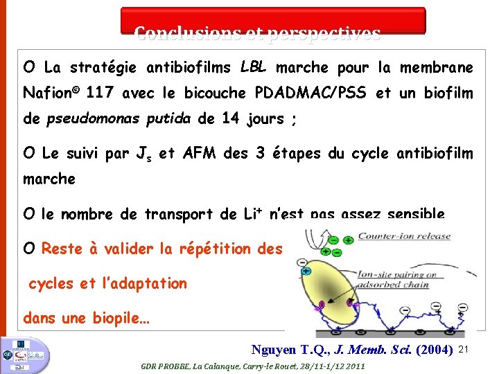 Conclusions et perspectives O La stratégie antibiofilms LBL marche pour la membrane Nafion© 117