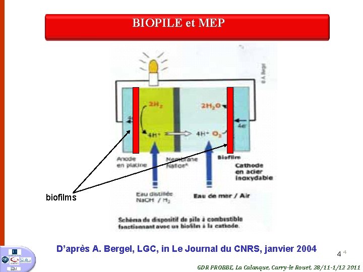 BIOPILE et MEP biofilms D’après A. Bergel, LGC, in Le Journal du CNRS, janvier