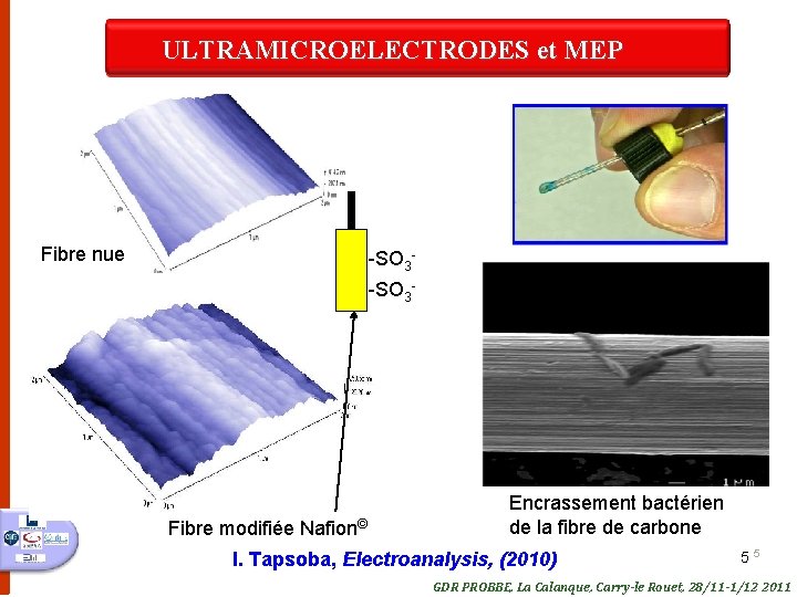 ULTRAMICROELECTRODES et MEP Fibre nue -SO 3 - Fibre modifiée Nafion© Encrassement bactérien de