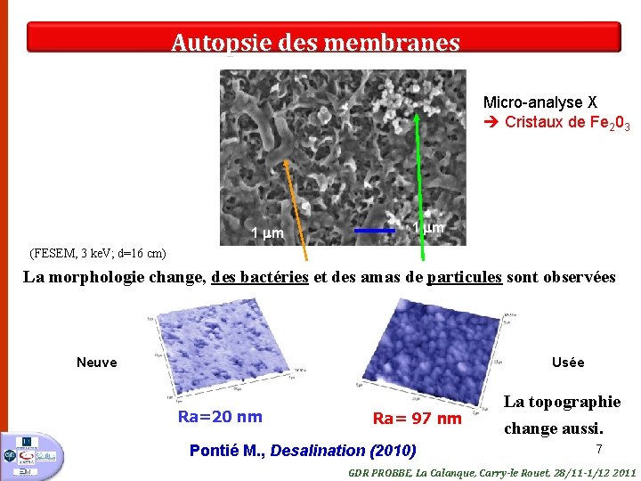 Autopsie des membranes Micro-analyse X Cristaux de Fe 203 1 mm (FESEM, 3 ke.