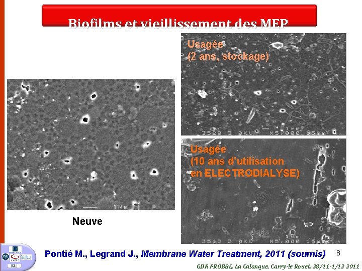 Biofilms et vieillissement des MEP Usagée (2 ans, stockage) Usagée (10 ans d’utilisation en