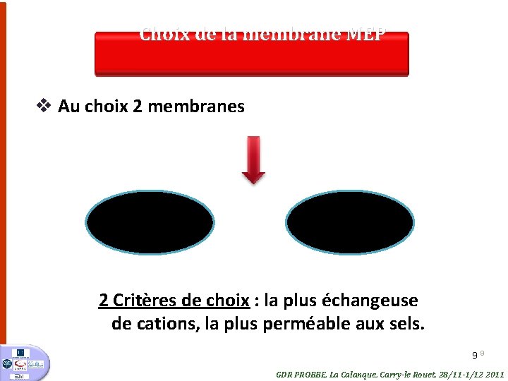 Choix de la membrane MEP v Au choix 2 membranes CMX Nafion© 117 2