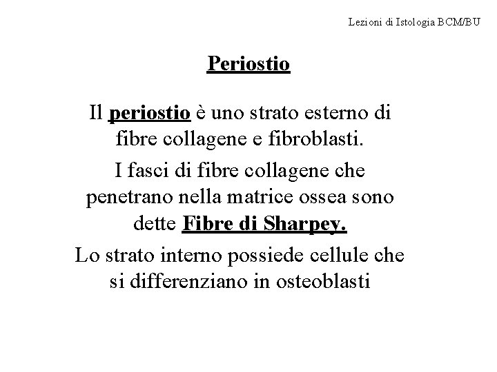 Lezioni di Istologia BCM/BU Periostio Il periostio è uno strato esterno di fibre collagene