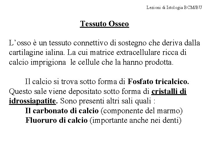 Lezioni di Istologia BCM/BU Tessuto Osseo L’osso è un tessuto connettivo di sostegno che