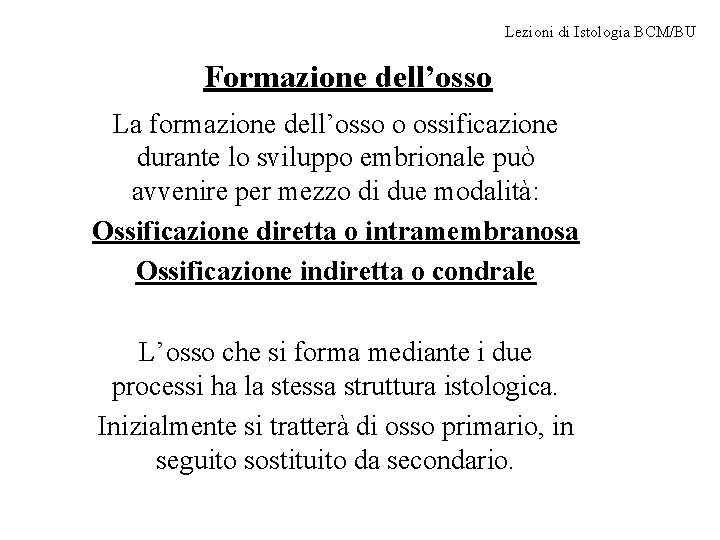 Lezioni di Istologia BCM/BU Formazione dell’osso La formazione dell’osso o ossificazione durante lo sviluppo