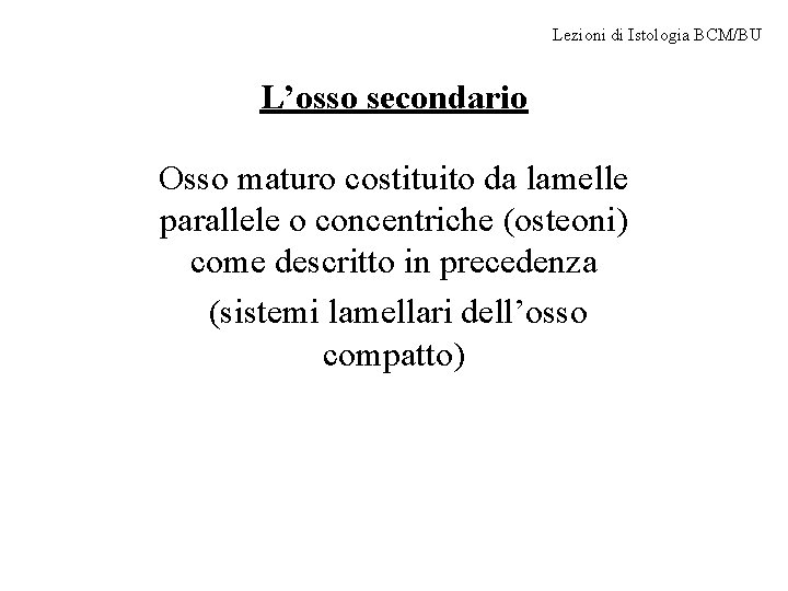 Lezioni di Istologia BCM/BU L’osso secondario Osso maturo costituito da lamelle parallele o concentriche