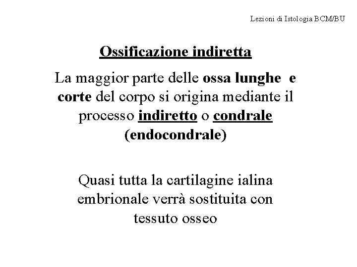 Lezioni di Istologia BCM/BU Ossificazione indiretta La maggior parte delle ossa lunghe e corte