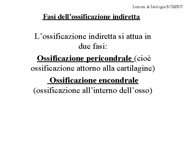 Lezioni di Istologia BCM/BU Fasi dell’ossificazione indiretta L’ossificazione indiretta si attua in due fasi: