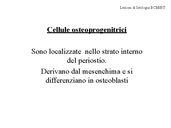 Lezioni di Istologia BCM/BU Cellule osteoprogenitrici Sono localizzate nello strato interno del periostio. Derivano