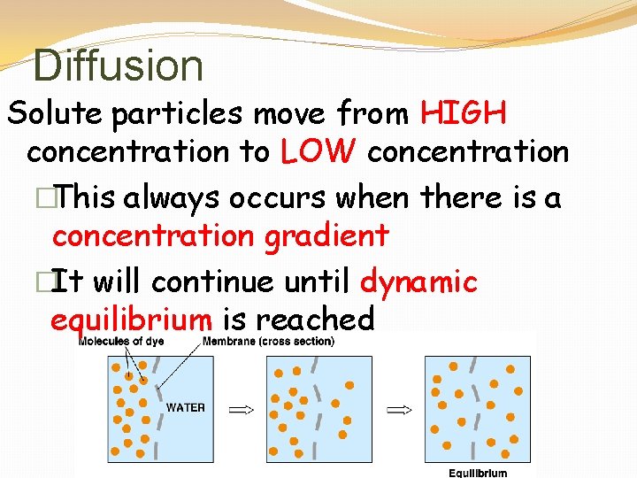 Diffusion Solute particles move from HIGH concentration to LOW concentration �This always occurs when