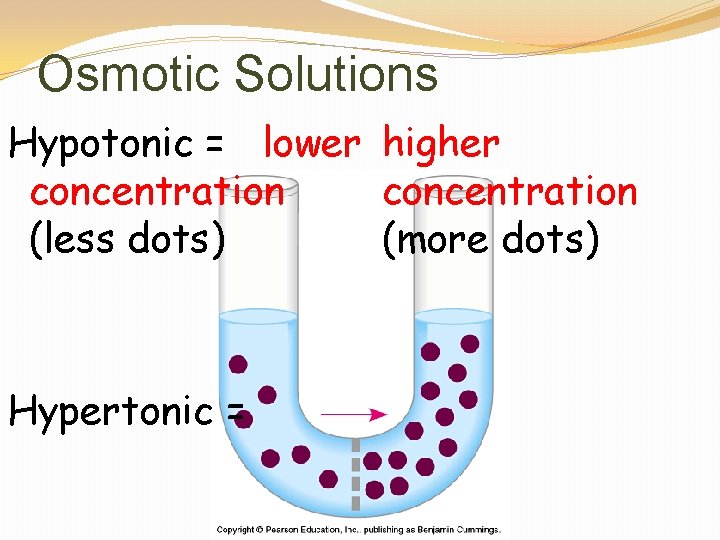 Osmotic Solutions Hypotonic = lower higher concentration (less dots) (more dots) Hypertonic = 