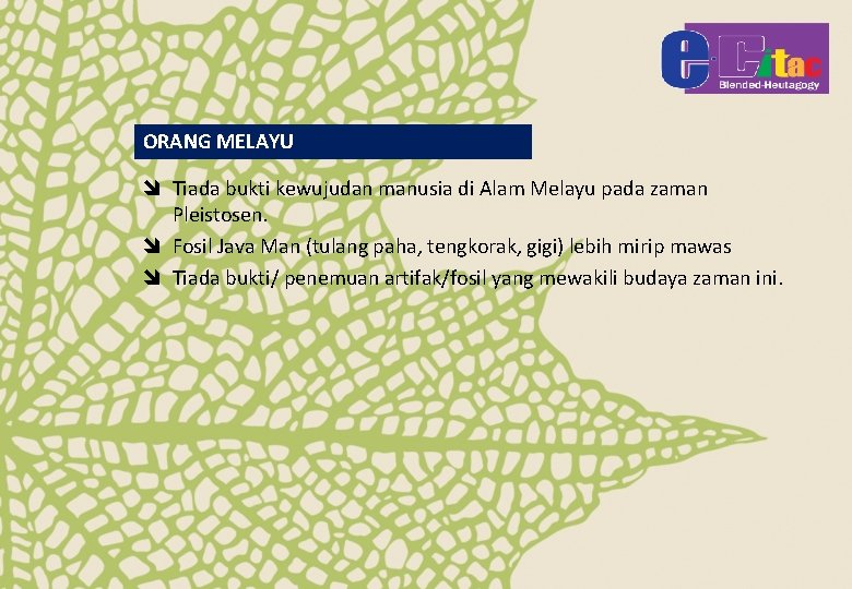 ORANG MELAYU î Tiada bukti kewujudan manusia di Alam Melayu pada zaman Pleistosen. î