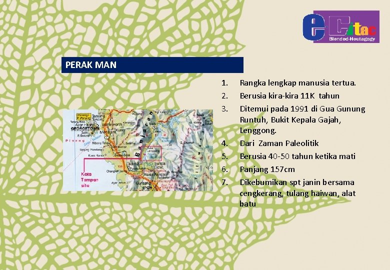 PERAK MAN 1. 2. 3. 4. 5. 6. 7. Rangka lengkap manusia tertua. Berusia