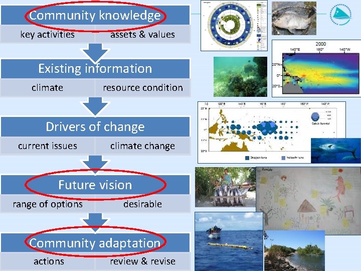 Community knowledge key activities assets & values Existing information climate resource condition Drivers of